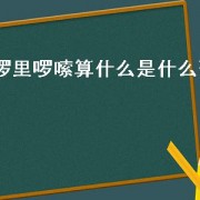 啰里啰嗦算什么是什么歌