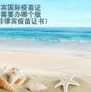 在菲律宾国际疫苗证书我们需要办哪个版本？(菲律宾疫苗证书)