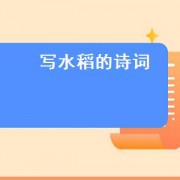 写水稻的诗词（写水稻的景色的作文）
