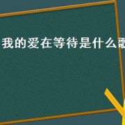 我的爱在等待是什么歌（我的爱不能再等待是什么歌的歌词）
