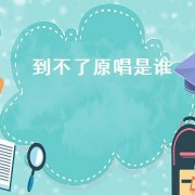 到不了原唱是谁（到不了男生版原唱）