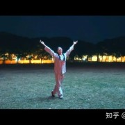 冯小刚《芳华》