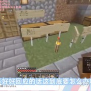 关于凑阿库娅及其后续