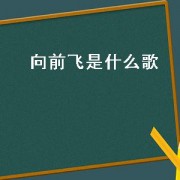 向前飞是什么歌（勇敢地向前飞是什么歌）