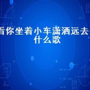 看你坐着小车潇洒远去是什么歌（坐着小车潇洒的远去是什么歌）