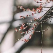 柳永诗词（柳永诗词全集完整版）