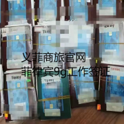 菲律宾9G工作签证蓝卡丢失了（需要怎么补办呢）