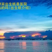 菲律宾出生纸是医院出具的吗(出生纸介绍)