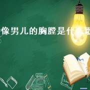 像男儿的胸膛是什么歌