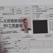 菲律宾9G工签查询.9G查询进度？