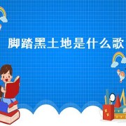 脚踏黑土地是什么歌
