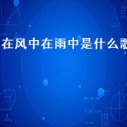 在风中在雨中是什么歌