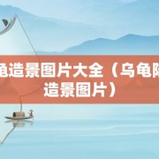 陆龟造景图片大全（乌龟陆地造景图片）