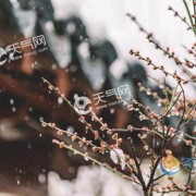 描写饭店像宫殿的诗词