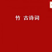 竹 古诗词（竹古诗词100首）