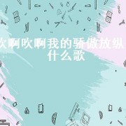 吹啊吹啊我的骄傲放纵是什么歌（吹呀吹呀我的骄傲歌词）