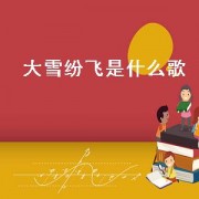 大雪纷飞是什么歌