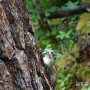 香格里拉 - 尽收人世纷扰，不染凡间一尘