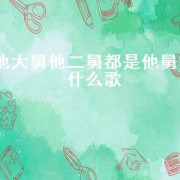 他大舅他二舅都是他舅是什么歌（他大舅他二舅是谁唱的）