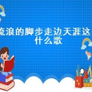 流浪的脚步走边天涯这是什么歌（流浪的脚步求歌名）