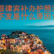 在菲律宾补办护照没有下发是什么原因？