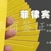 在菲律宾国际疫苗证书我们需要办哪个版本？(菲律宾疫苗证书)