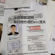 菲律宾超过半年回国没有ecc会怎么样（ecc样本）
