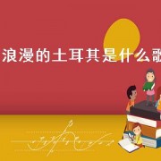 浪漫的土耳其是什么歌（浪漫的土耳其歌曲名叫啥）