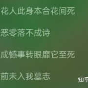 有没有什么小众但很好听的歌推荐？