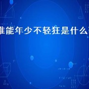谁能年少不轻狂是什么歌（何人年少不轻狂下一句）