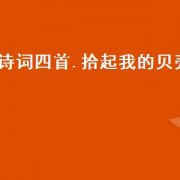 诗词四首.拾起我的贝壳