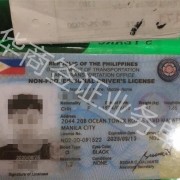 菲律宾驾驶证回国换要重新考试吗 学生能考菲律宾驾驶证吗 华商签证普及
