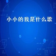 小小的我是什么歌