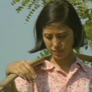 电视剧《篱笆女人与狗》经典女人命运三部曲之一
