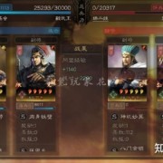 8连杀，张角+法正+周泰。张角的伤害，比庞统、陆逊还稳定，666