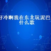 好冷啊我在东北玩泥巴是什么歌