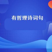 有哲理诗词句（有哲理的文章）
