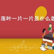 落叶一片一片是什么歌