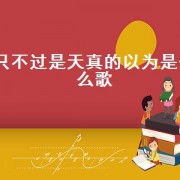 只不过是天真的以为是什么歌
