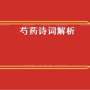 芍药诗词解析