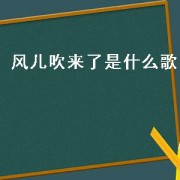 风儿吹来了是什么歌（风儿吹水长流抖音最火的歌）
