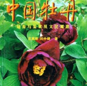 恰同学 少年诗词（恰同学少年诗词解释）