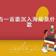 当一首歌沉入海底是什么歌（当一首歌沉入海底下一句）