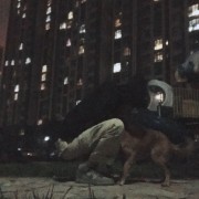怎样看待宋冬野的《梦遗少年》