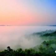 带实字的诗（带有实字的古诗句子）