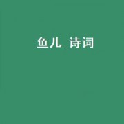 鱼儿 诗词