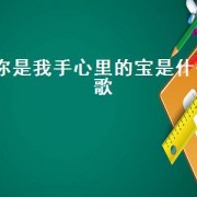 你是我手心里的宝是什么歌（你是我手心里的宝）