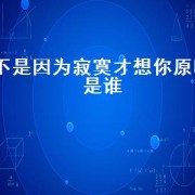 不是因为寂寞才想你原唱是谁（不是因为寂寞才想你原唱完整版）