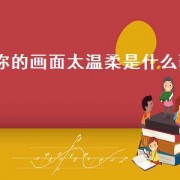 你的画面太温柔是什么歌