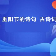 重阳节的诗句 古诗词（重阳节诗句古诗大全）